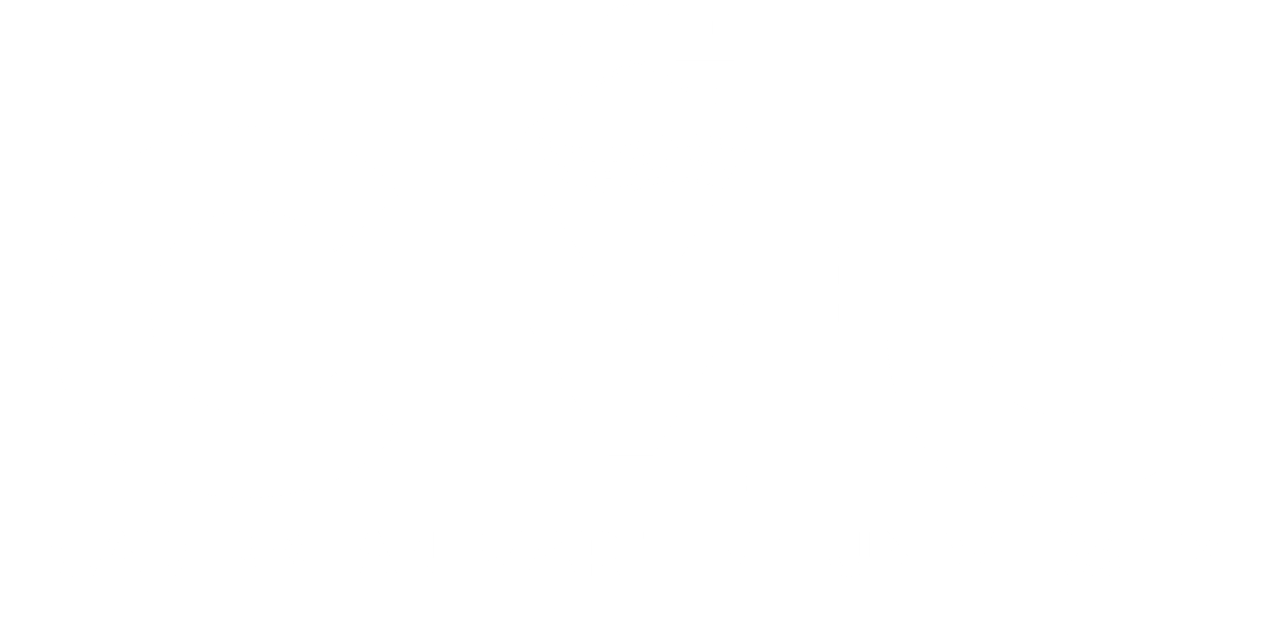 CMU Logo White